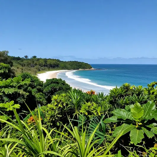 Descubra a Ilha do Areado