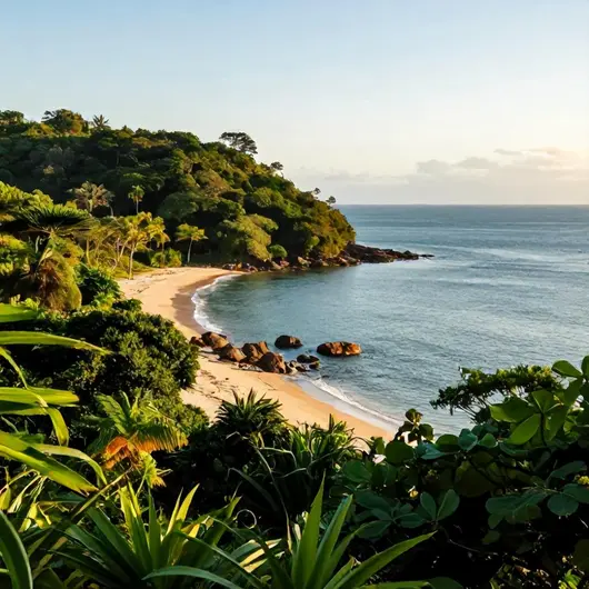 Descubra a Ilha do Frade