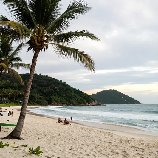 Descubra a Praia das Castanheiras: Uma Joia de Vitória-ES Descubra a Praia das Castanheiras: Uma Joia de Vitória-ES