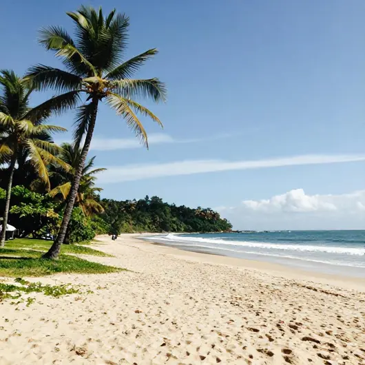 Descubra a Praia do Morro