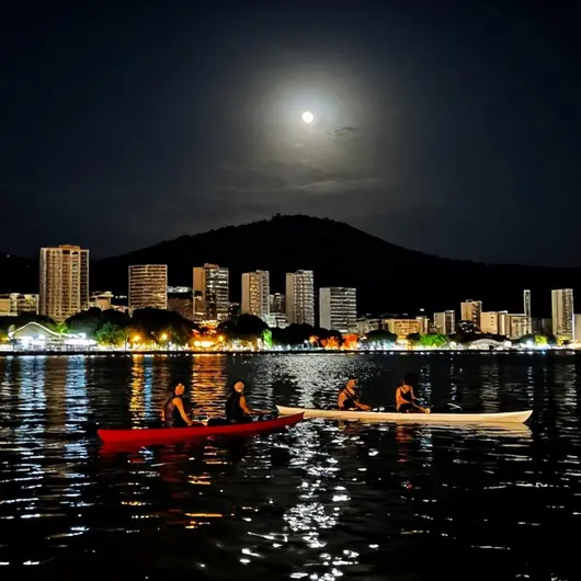 Descubra o Encanto do Noturna Descubra o Encanto do Noturna
