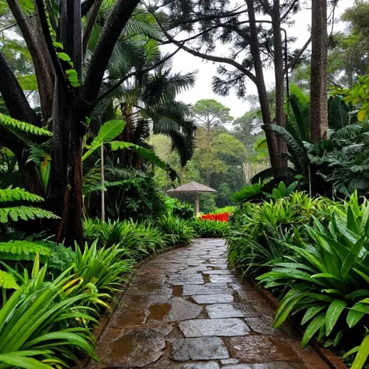 Descubra o Parque Botânico Vale Vitória: um oásis de natureza na cidade