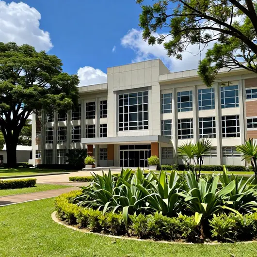 Descubra o TEATRO UNIVERSITÁRIO Descubra o TEATRO UNIVERSITÁRIO