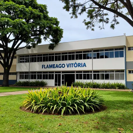 Escola Flamengo Vitória