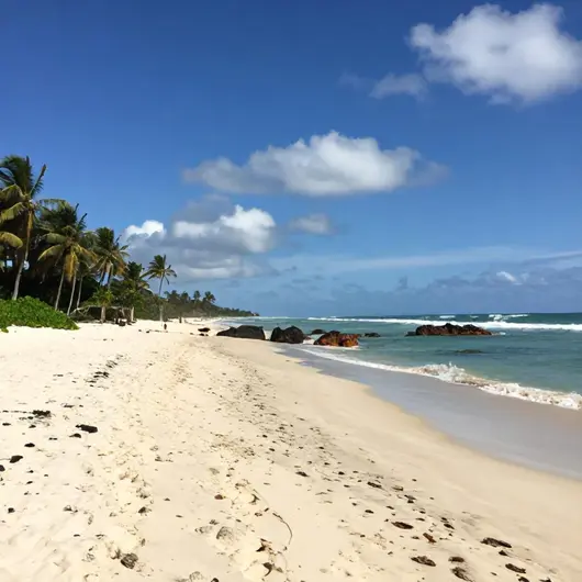 Explorando as Melhores Praias de Vitória: Um Roteiro Completo