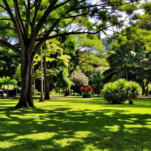 Explore o Park Moscoso Explore o Park Moscoso