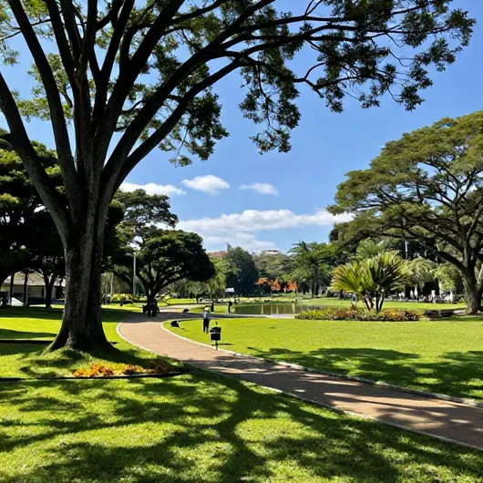 Parques para visitar de graça em Vitória Parques para visitar de graça em Vitória