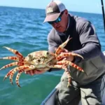 Vitória reforça importância do defeso do caranguejo